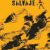 Espíritu Salvaje- Palmiero Silvina,