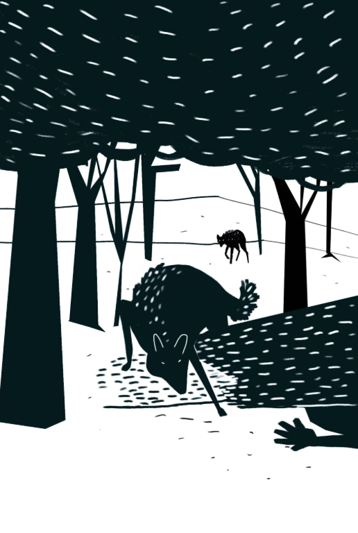 No le temas a la luna llena- Palmiero Silvina,